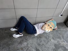-匠心二十五年·百姓海鲜烧烤家常菜(威至海港湾店)