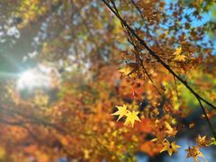 -狼山风景名胜区