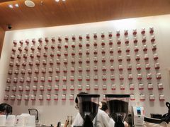 -代数学家algebraist(苏州中心店)