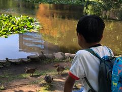-北海道厅旧本厅舍(旧本庁舎)
