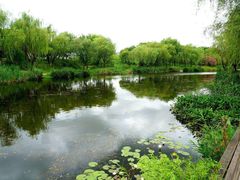 -新江湾城公园
