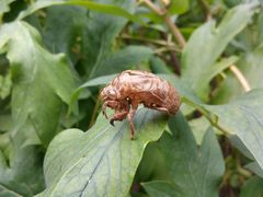 -北京宽沟会议中心