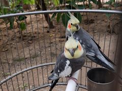 -南宫五洲植物乐园