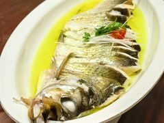 蒸大刁鱼-鲁宴·鲁煨黄河生态大鲤鱼(月坛店)