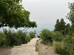 -北京西山国家森林公园