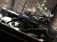 -Together·泰式按摩精油SPA(天山店)