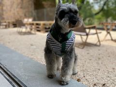 -J Create城市露营咖啡·简餐·宠物(上海动物园店)