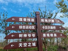 -九龙湖公园