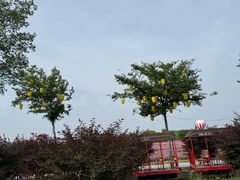 -歌斐颂巧克力小镇