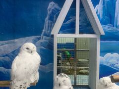 -成都浩海立方海洋公园