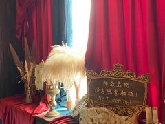 -雪灵魔法世界SHELLY’S TAROT(大良桂畔里店)