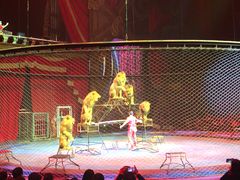 -珠海横琴长隆《卡卡虎奇遇记》