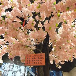 -简影造型·自选烫染接发salon