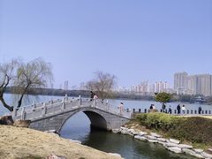 -高子水居