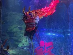 -沈阳海洋探索中心