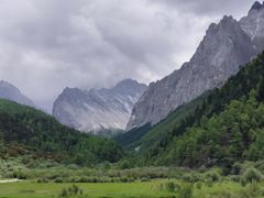 -稻城亚丁景区-冲古草甸