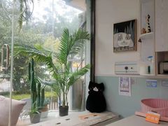 -纳吉亚猫专科动物医院·北北分院