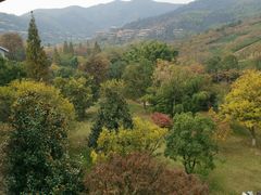 -天目湖御水温泉·度假酒店