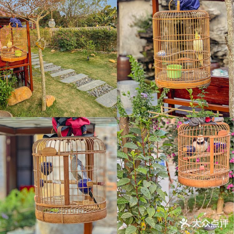 好美❗️90%珠海人都不知道的庭院，竟是私房菜