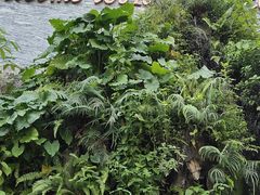 -三亚夏威夷大酒店