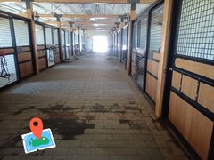 -北京群众马术培训基地