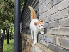 -李叔同故居纪念馆