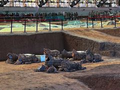 -秦始皇帝陵博物院(兵马俑)