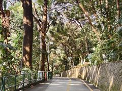 -中山公园(石岐街道)