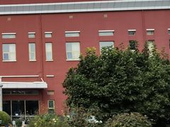 -北京德尔康尼骨科医院