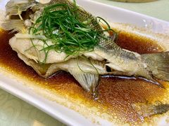 清蒸鲈鱼-孖宝酒家(狮岭店)
