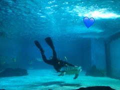 -常州海昌海洋探索馆