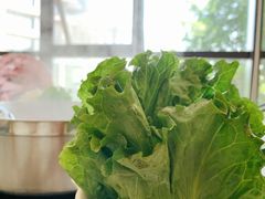 有机蔬菜-虾佬圣汤