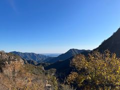 -大岭沟猕猴桃谷风景区