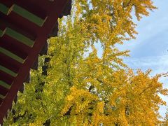 -宝通禅寺