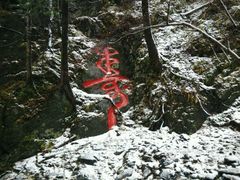 -凤凰山国家森林公园