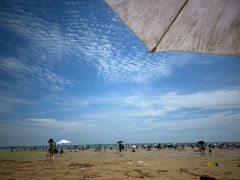-日照海滨国家森林公园