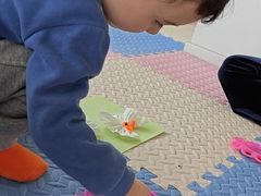 -上海松江区启星幼儿园