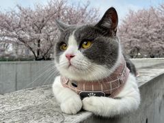 -龙美术馆(西岸馆)
