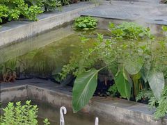 -漫笙舍Manse·咖啡·民宿