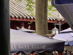 -青羊宫