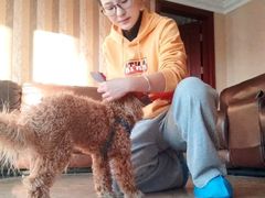 -多乐狗狗宠物训练工作室