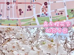 -高东镇樱花园