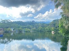 -星湖旅游景区七星岩