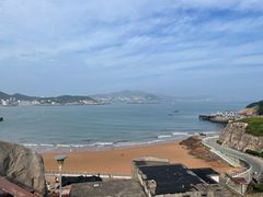 -魚當家