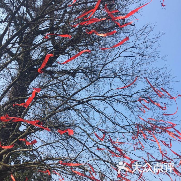 王坛东村十里梅廊