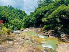 -广州白江湖森林公园