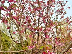 -梁鸿国家湿地公园