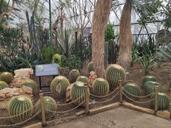 -北京植物园-展览温室