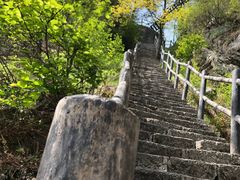 -内乡宝天曼生态旅游区