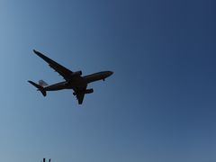 -空港花田景区